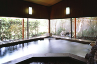 Large garden baths Usui no Yu